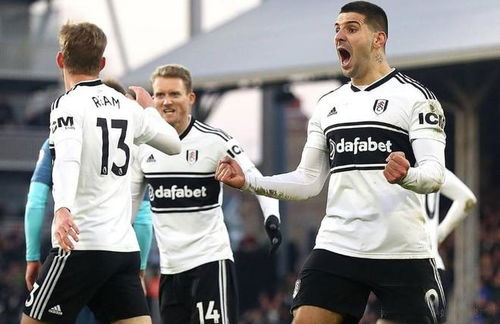 diễn biến chính fulham gặp newcastle,Giới thiệu về trận đấu Fulham gặp Newcastle